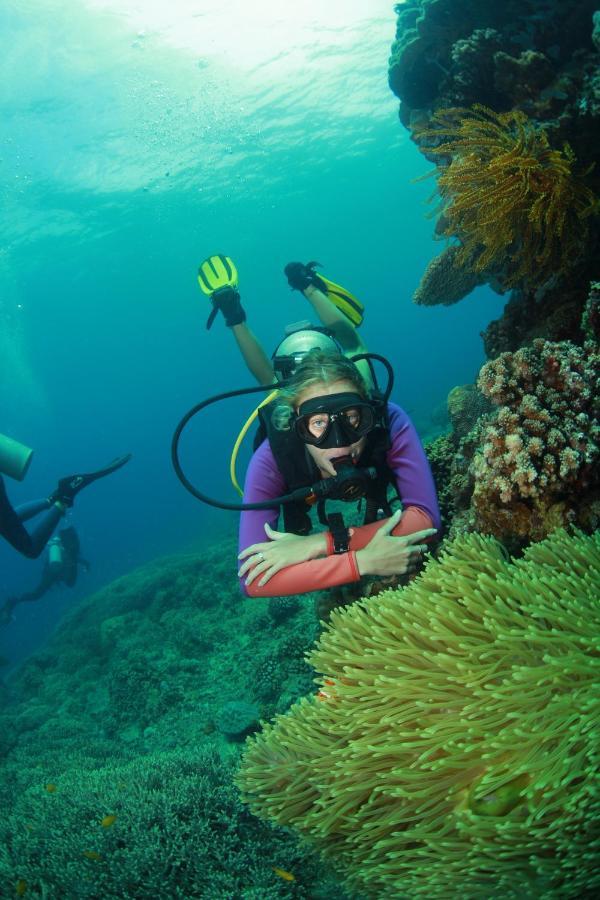 Bongo Bongo Divers Dauin Eksteriør bilde